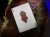 x_t11-gotg-deck_g.jpg