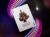 x_t11-gotg-deck_l.jpg