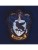 harry-potter-beanie-ravenclaw-school (1).jpg