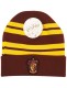 harry-potter-beanie-gryffindor-school (1).jpg