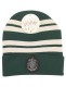 harry-potter-beanie-slytherin-school (1).jpg