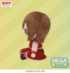 x_sega56067_a.jpg