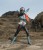 x_meho830730_h.jpg