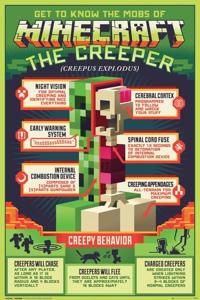 FP4734-MINECRAFT-creepy-behavior.jpg