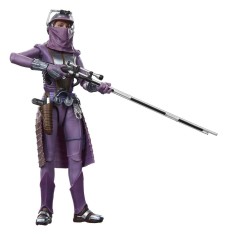 x_hasg4545_b.jpg