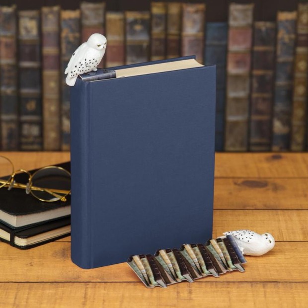 PP6547HP_Harry_Potter_Hedwig_Bookmark_Square_Lifestyle_1.jpg