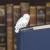 PP6547HP_Harry_Potter_Hedwig_Bookmark_Square_Lifestyle_2.jpg