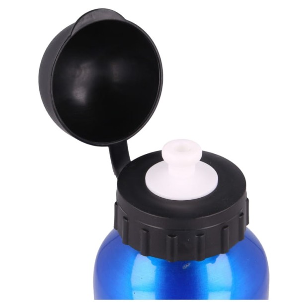 aluminium-bottle-400-ml-harry-potter (3).jpg