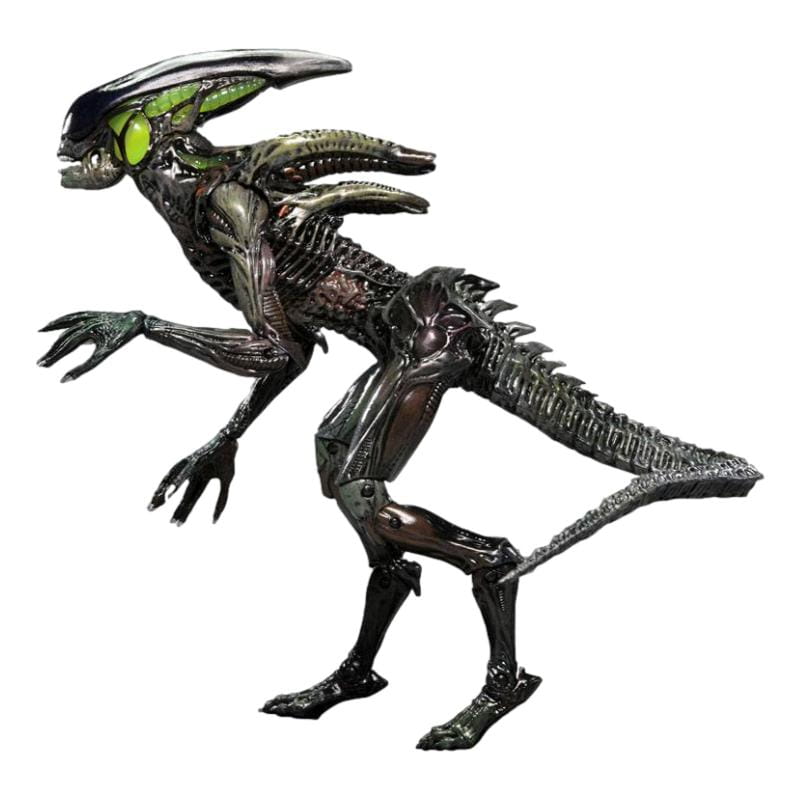 x_neca51724_s_clipped_rev_1.jpeg