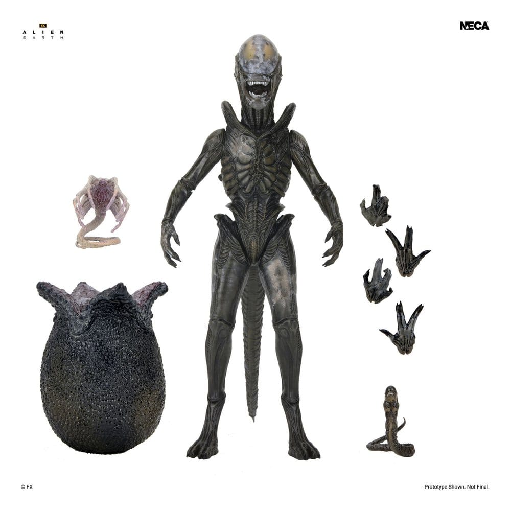x_neca51766-01_a.jpg