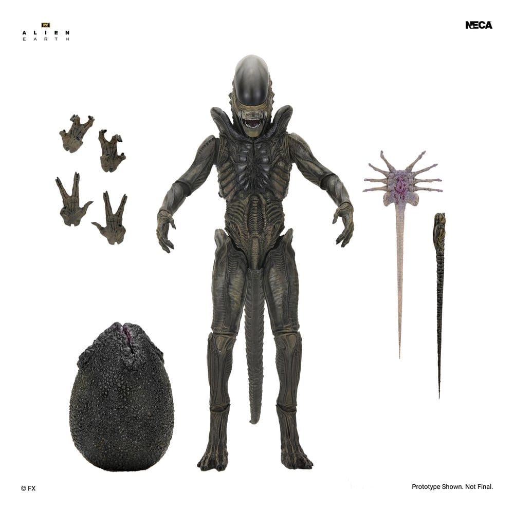 x_neca51756-01_a.jpg