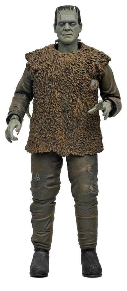 x_neca04752-01.jpg